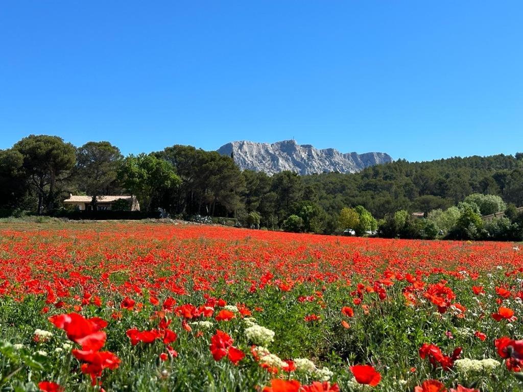 Villa Lumineuse Avec Piscine Clim 1Ere Etage Vue Panoramique Sur Les Montagnes Sur Le Site De La Sainte-Victoire Le Tholonet Exterior foto